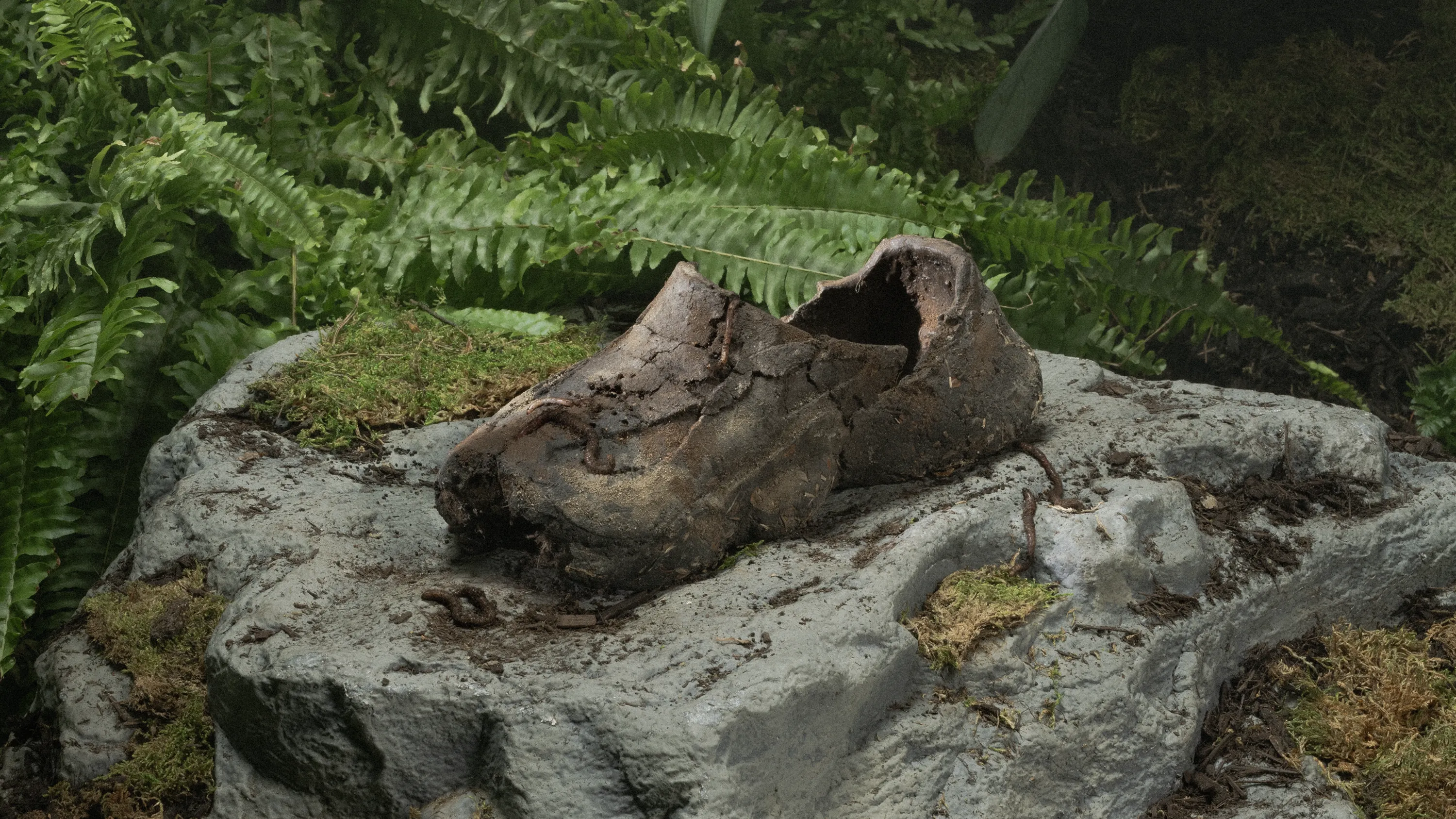 Dirt Shoes - Nature Scene